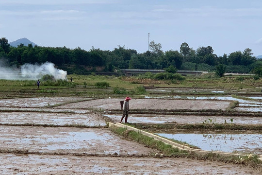 Thừa Thiên - Huế: Cảnh báo tình trạng xâm nhập mặn vùng cửa sông