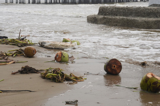 Thanh Hóa: Bờ biển Hải Tiến ngập trong rác trước dịp khai trương du lịch hè