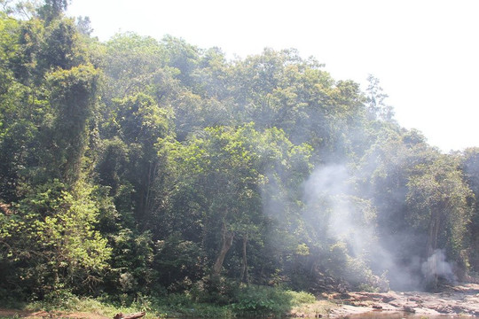 Cảnh báo nguy cơ cháy rừng ở nhiều địa phương tại Bắc Giang