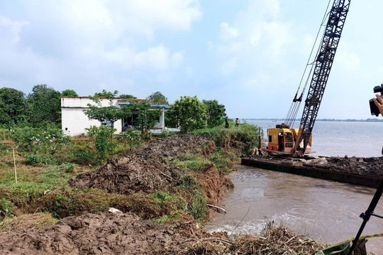 Hơn 17 ha vườn cây ăn trái ở Vĩnh Long bị ảnh hưởng do sạt lở đê bao