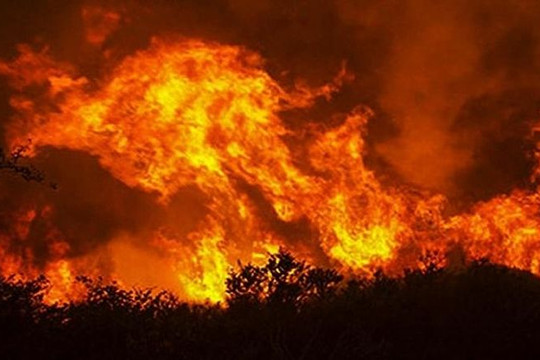 Tăng cường các biện pháp phòng chống cháy rừng do nắng nóng