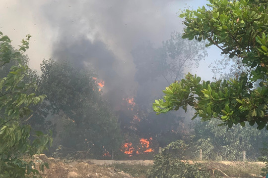 Quảng Nam: Cháy hơn 20ha rừng phòng hộ Pacsa ở huyện Thăng Bình