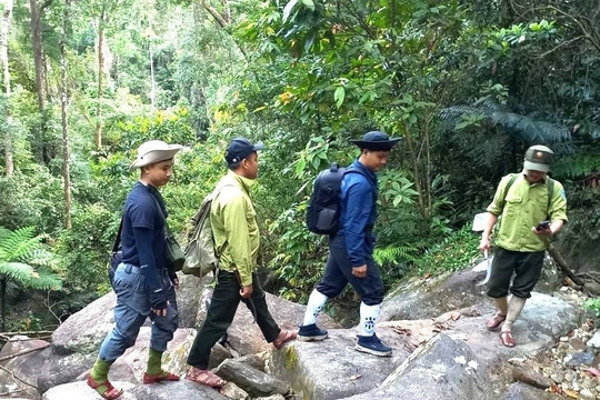Quảng Nam sẽ sớm ban hành quy định mới về chi hỗ trợ bảo vệ rừng