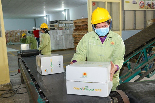 Quí I/2023, gạo Việt xuất khẩu ra nước ngoài tăng 23%