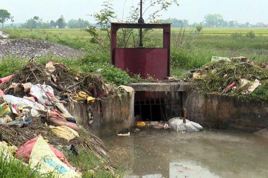 Nghệ An: Gia tăng tình trạng ô nhiễm nguồn nước ở Diễn Châu