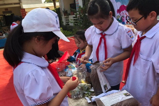 Điện Biên đẩy mạnh phong trào xây dựng trường học thân thiện với môi trường