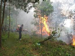 An Giang: Tăng cường công tác phòng cháy, chữa cháy rừng
