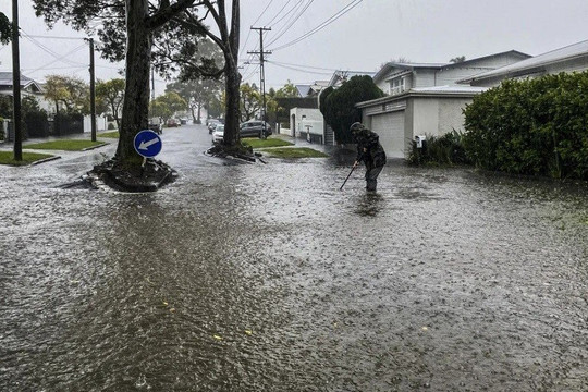 New Zealand: Auckland ban bố tình trạng khẩn cấp lần thứ 3 trong năm