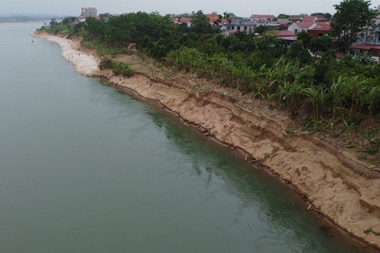Phú Thọ: Sạt lở bờ sông Đà “ăn sâu” vào đất liền