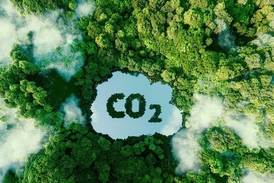 Sàn giao dịch tín chỉ carbon sẽ vận hành vào năm 2028
