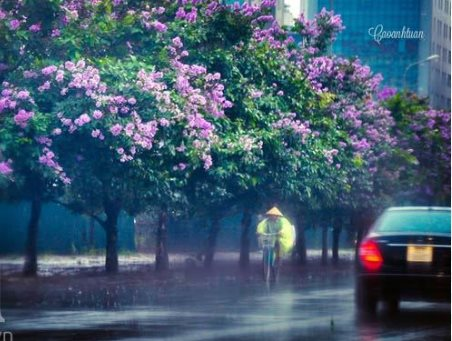 Dự báo thời tiết Hà Nội ngày 14/5/2023: Nhiều mây, mưa vài nơi, trời se lạnh