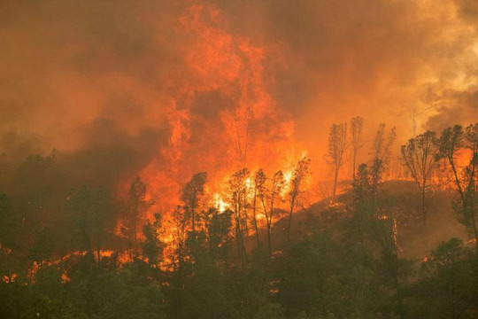 Canada: Cháy rừng ở miền Tây tác động xấu đến chất lượng không khí