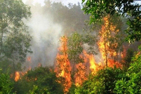 Nghệ An: Cảnh báo cháy rừng đến cấp cực kỳ nguy hiểm