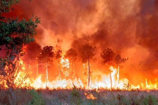 Cháy rừng tại biên giới Tây Ban Nha và Bồ Đào Nha