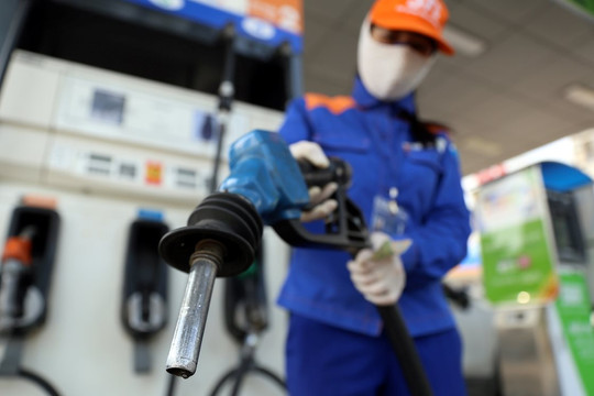 Giá xăng dầu bật tăng trở lại 