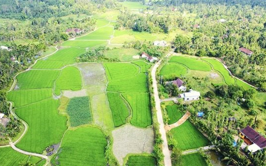 Quảng Nam: Cần thêm cơ chế khuyến khích phát triển du lịch xanh