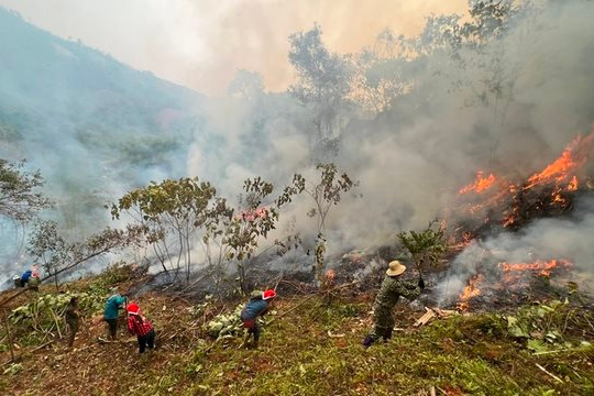 Cảnh báo nhiều nơi có nguy cơ cháy rừng ở mức cực kỳ nguy hiểm