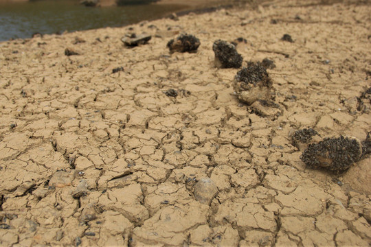 Quảng Trị tập trung các giải pháp ứng phó với tình trạng khô hạn