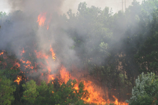 Hà Tĩnh chỉ đạo tăng cường phòng cháy, chữa cháy rừng