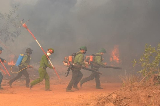 Hà Tĩnh và Thừa Thiên - Huế: Tăng cường phòng cháy, chữa cháy rừng
