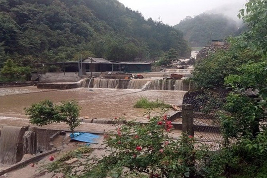 Lai Châu: Lũ quét làm thiệt hại gần 40 tấn cá tầm