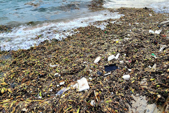 Lượng lớn rác đại dương tràn lan tại bờ biển Vũng Tàu 