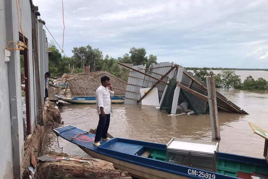 Cà Mau: Xin hỗ trợ khẩn cấp 222 tỷ đồng khắc phục gần 3km bờ sông bị sạt lở