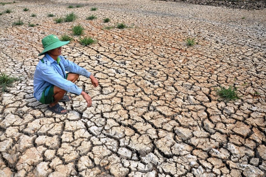 Việt Nam đối diện nguy cơ xảy ra khô hạn cục bộ hoặc diện rộng 