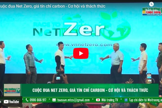 [VIDEO] Cuộc đua Net Zero, giá tín chỉ carbon - Cơ hội và thách thức
