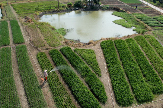Long An sản xuất nông nghiệp ứng phó với biến đổi khí hậu