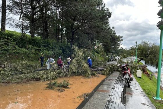 Lâm Đồng: Nhiều khu vực ở TP Đà Lạt bị ngập sau trận mưa lớn