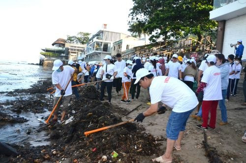 Bà Rịa - Vũng Tàu: Hơn 900 tình nguyện viên dọn rác, làm sạch biển Bãi Dâu