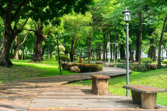 TP. HCM có thêm 21ha công viên công cộng và hơn 9ha mảng xanh
