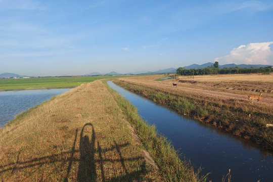 Hà Tĩnh: Hàng trăm ha đất ở huyện Cẩm Xuyên bị bỏ hoang vì khô hạn
