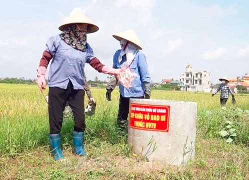 Hải Dương: Mô hình "Cánh đồng không rác thải" ở Ninh Giang