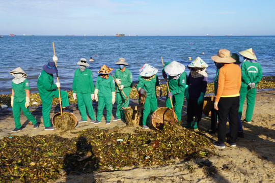 Bà Rịa - Vũng Tàu: Rác thải tràn ngập các bãi biển ở TP. Vũng Tàu