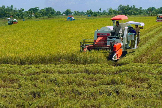 Thủ tướng yêu cầu thực hiện các giải pháp thúc đẩy sản xuất và xuất khẩu gạo