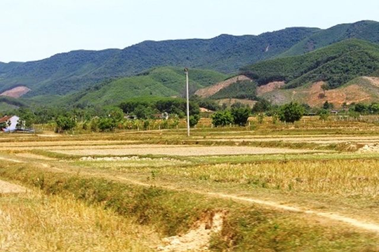 Nghệ An: Hàng nghìn ha đất sản xuất lúa mùa ở Nghệ An đứng trước nguy cơ bỏ hoang vì hạn hán