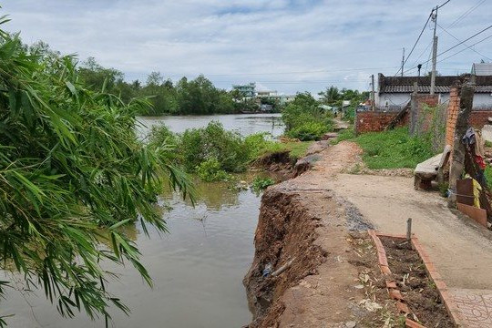 Thiên tai gây thiệt hại hơn 67 tỷ đồng tại Vĩnh Long
