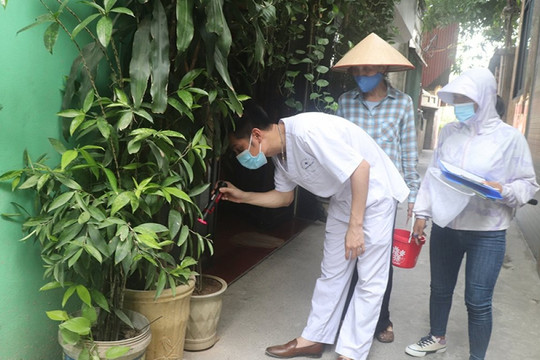 Hà Nội: Tăng 65%, thủ đô có thể là "điểm nóng" về sốt xuất huyết