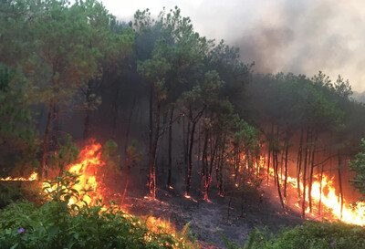 Nghệ An: Hơn 250 đoàn viên thanh niên tham gia phòng, chống cháy rừng