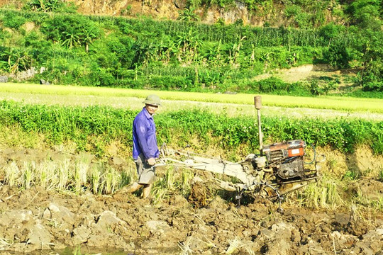 Thái Nguyên: Tăng cường bảo vệ cây trồng, vật nuôi mùa nắng nóng