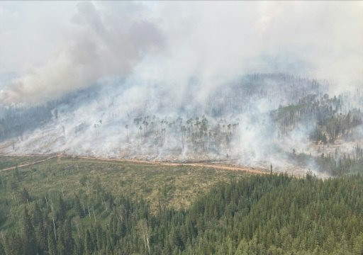Canada cháy hơn 10 triệu ha rừng trong 6 tháng đầu năm 