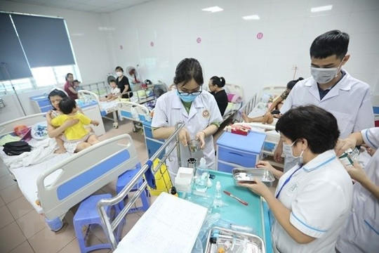 Hà Nội có thêm 442 ca mắc sốt xuất huyết trong một tuần