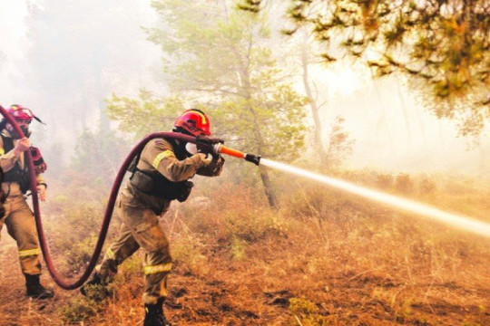 Hy Lạp: Ban bố tình trạng khẩn cấp vì cháy rừng