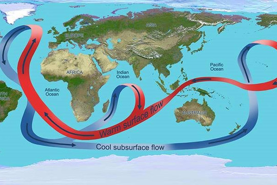 Hệ thống hải lưu AMOC có thể gây ra thảm họa khí hậu toàn cầu nếu ngừng lưu thông