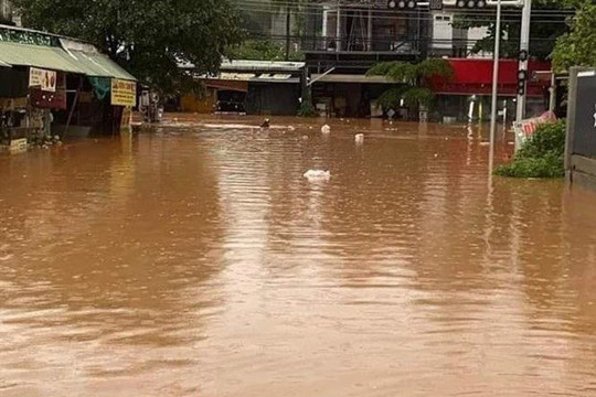 Mưa lớn kéo dài khiến nhiều nơi ở Bình Phước bị ngập 