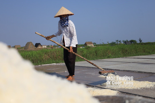 Nam Định: Diêm dân tất bật thu hoạch muối dưới nắng hè gay gắt