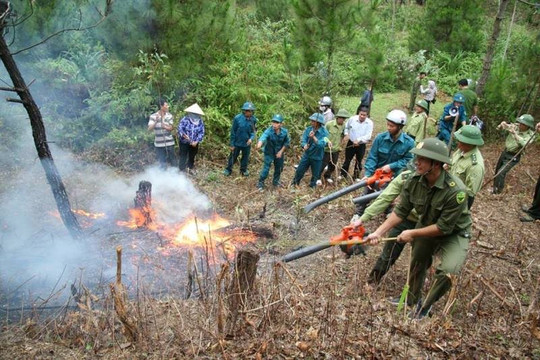Thanh Hoá: chủ động phòng chống cháy rừng trong mùa nắng nóng