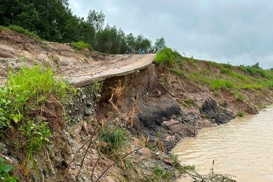 Bình Thuận: Khẩn trương khắc phục hậu quả do mưa lũ
